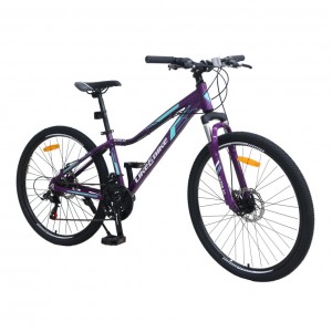 Велосипед дорослий 2-х колісний 26" A212606 LIKE2BIKE Ultra 2.0, фіолетовий