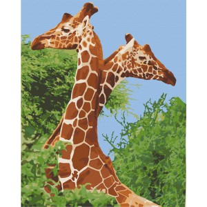 Картина по номерам. Art Craft "Пара жирафов" 40х50 см 11613-AC