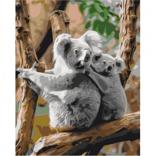 Картина по номерам "Семья коал" Brushme BS52451 40х50 см