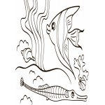 Детская водная раскраска : Море 734010, 8 страниц