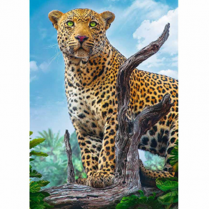 Пазлы "Дикий леопард" Trefl 37332T (500 эл.)