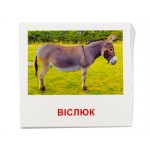 Развивающие карточки "Домашние животные" (110х110 мм) 65945 на укр./англ. языке