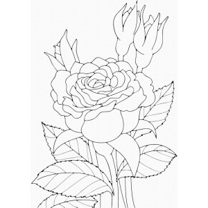 Роспись на холсте. Art Craft "Роза" 25х30 см 15505-AC